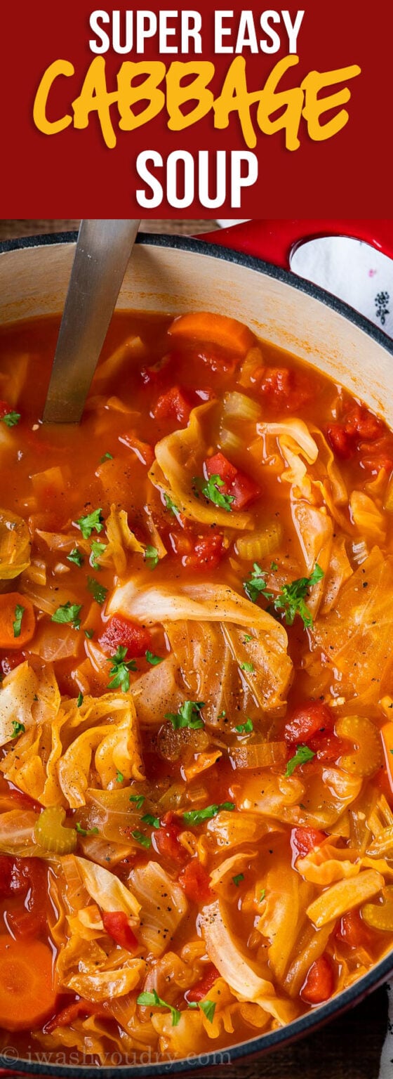 Cabbage Soup Recipe - I Wash You Dry