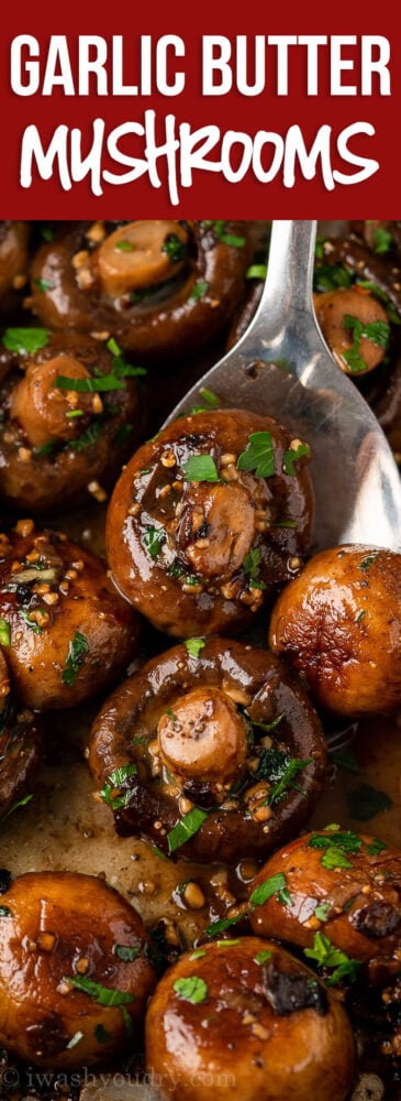 YUM! This Garlic Mushrooms Recipe is a quick and easy side dish that's ready in just 15 minutes or less!