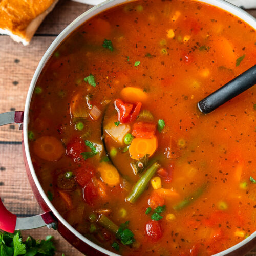 Vegetable Soup Recipe - I Wash You Dry