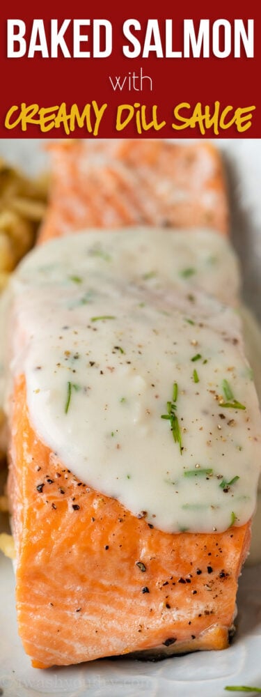 Baked Salmon with a creamy dill sauce served warm over the top.