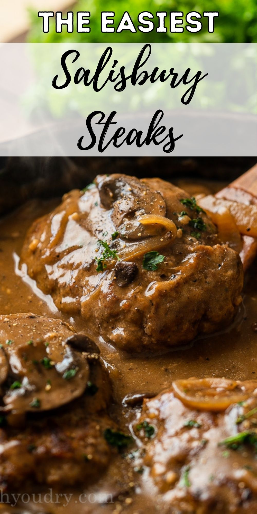 30 Minute Salisbury Steak Recipe - I Wash You Dry