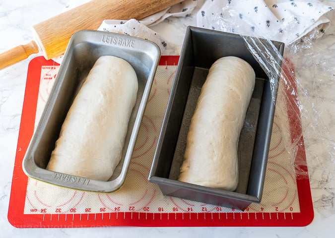 Place rolled bread into loaf pans for a second rise.