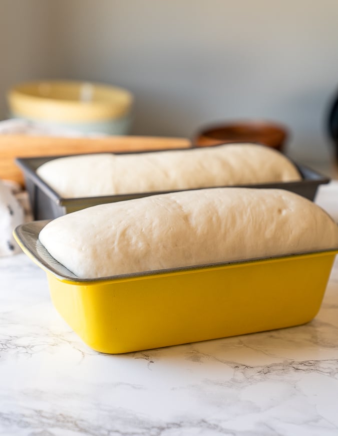 You'll know bread is ready to bake when it's risen above the side of the pan.