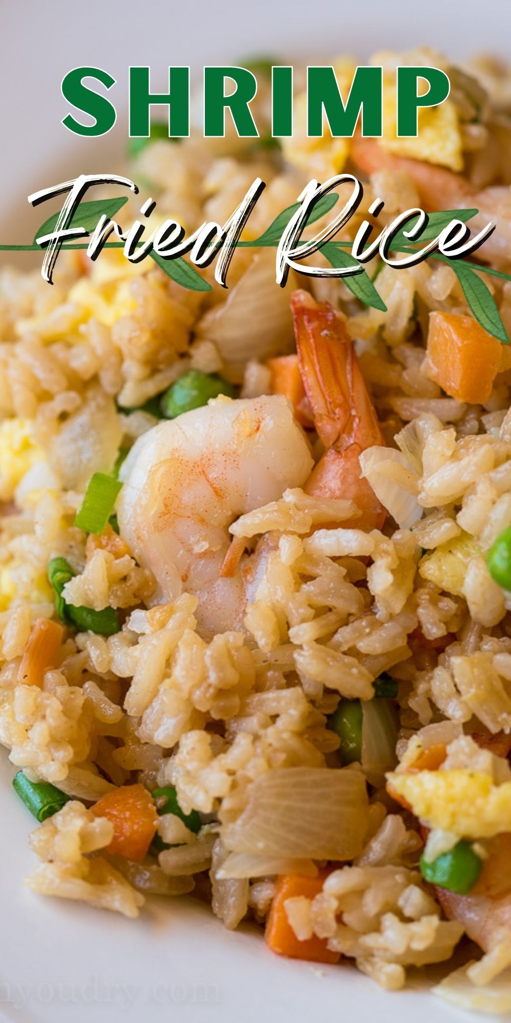 Easy Shrimp Fried Rice I Wash You Dry