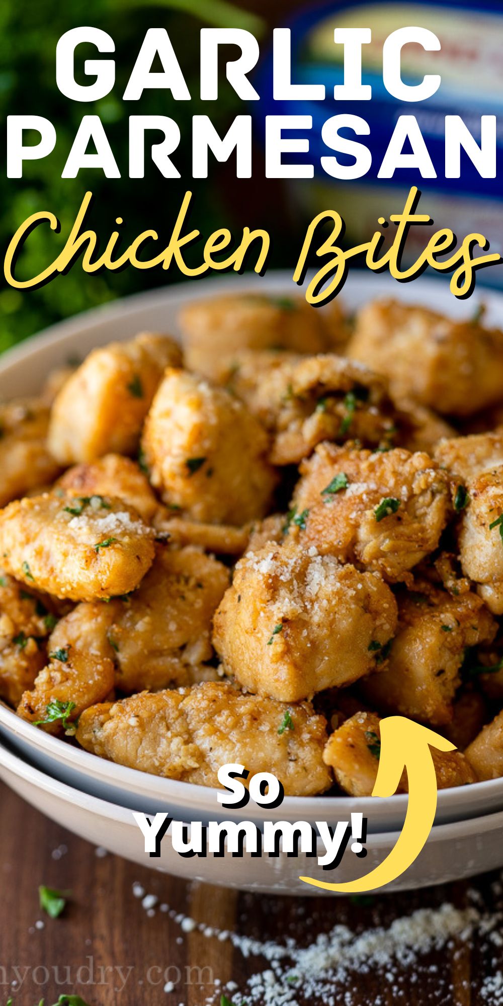 Garlic Parmesan Chicken Bites - I Wash You Dry