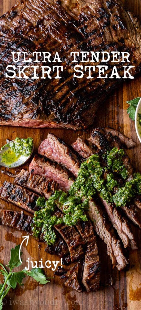 Grilled Skirt Steak Recipe - I Wash You Dry