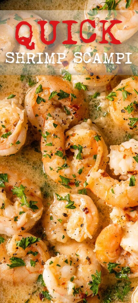Quick Shrimp Scampi Recipe