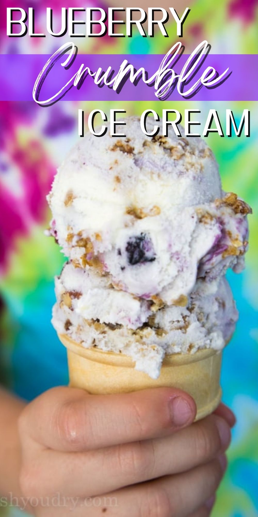 Blueberry Crumble Ice Cream - I Wash You Dry