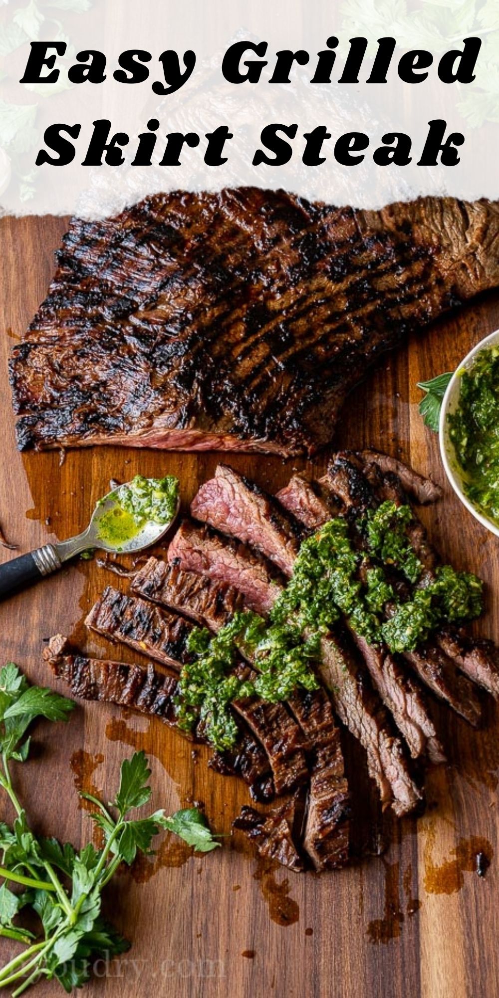 Grilled Skirt Steak Recipe - I Wash You Dry