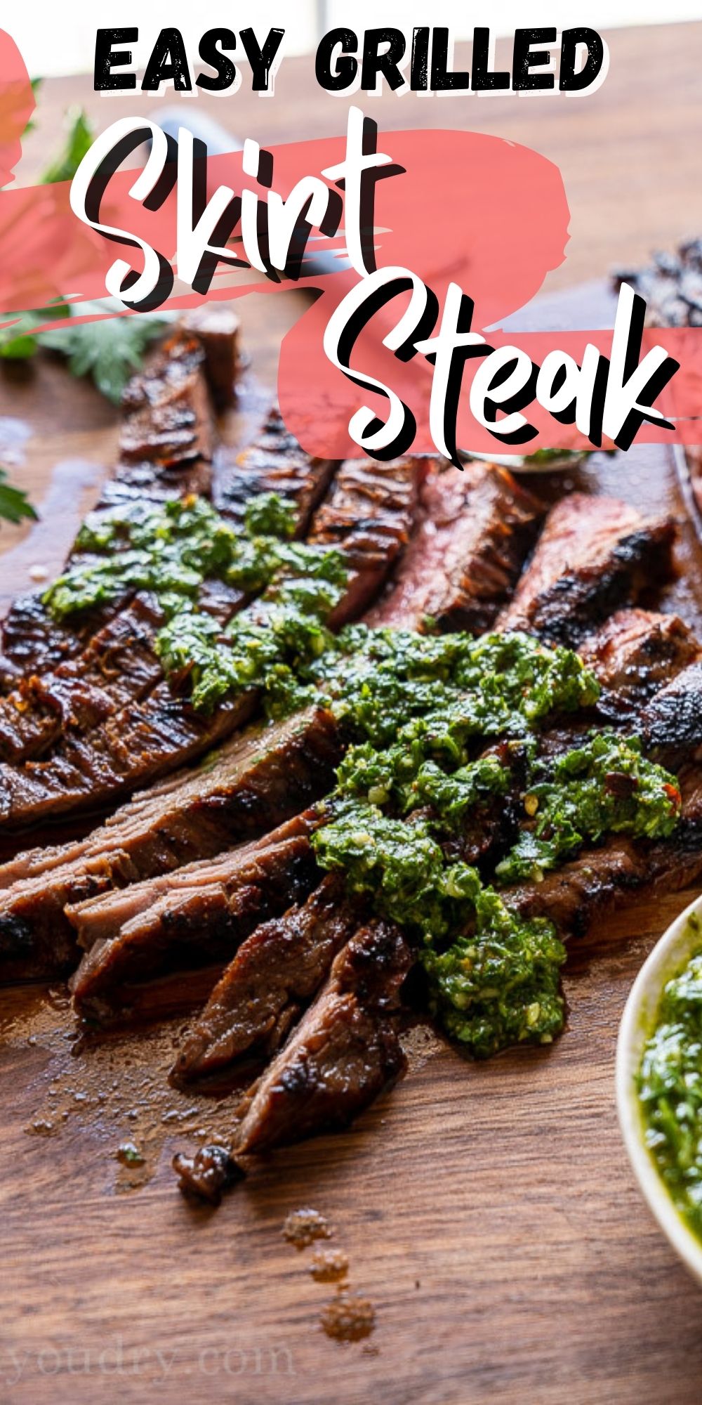 Grilled Skirt Steak Recipe - I Wash You Dry