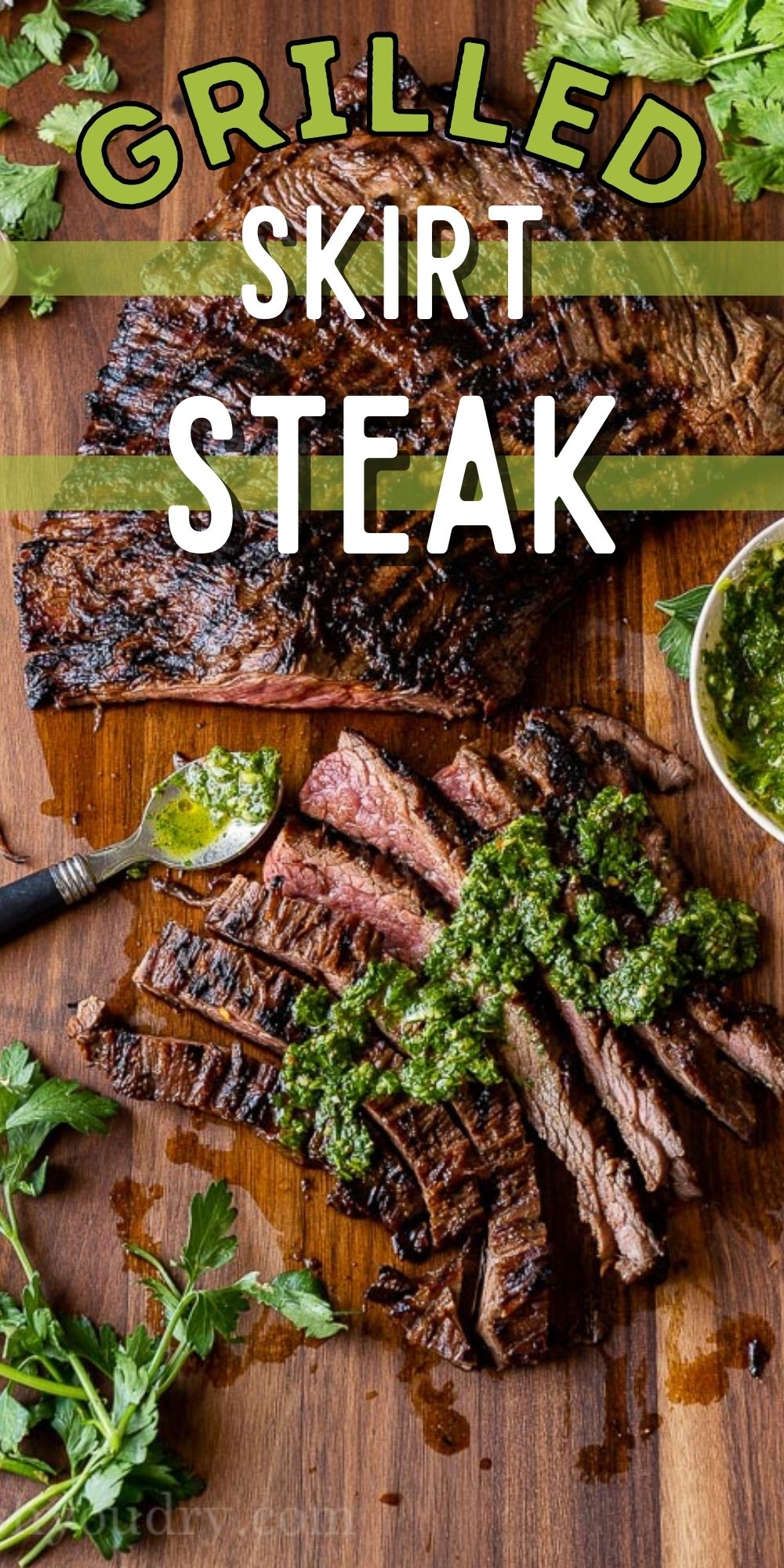 Grilled Skirt Steak Recipe - I Wash You Dry