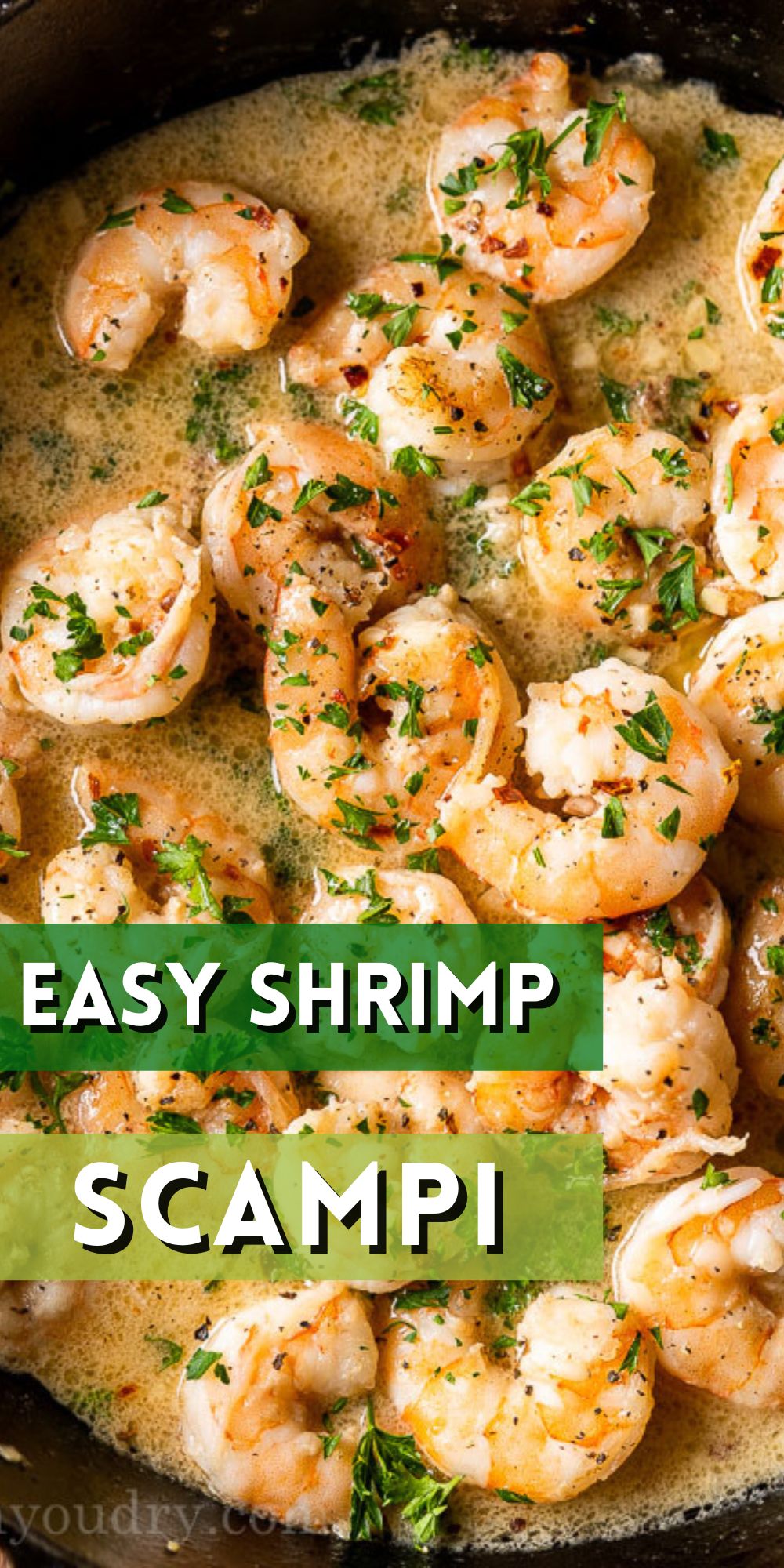 Quick Shrimp Scampi Recipe I Wash You Dry