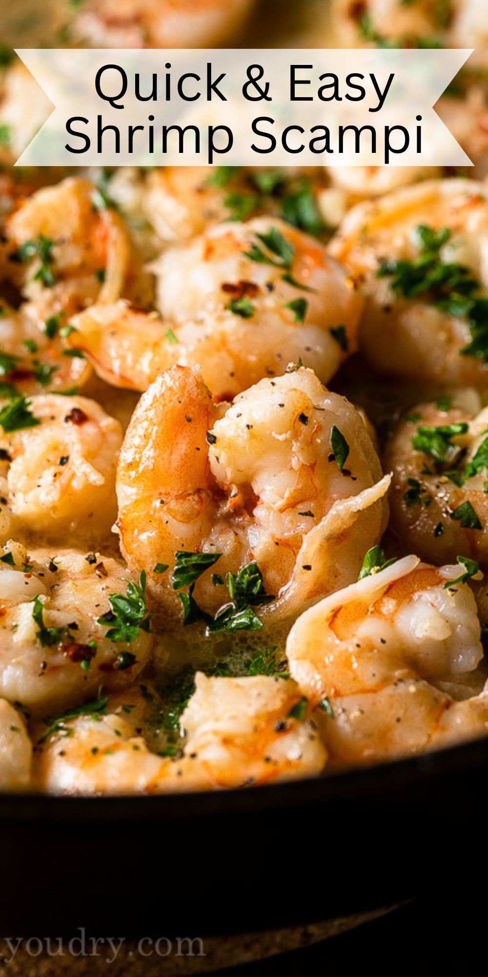 Quick Shrimp Scampi Recipe - I Wash You Dry