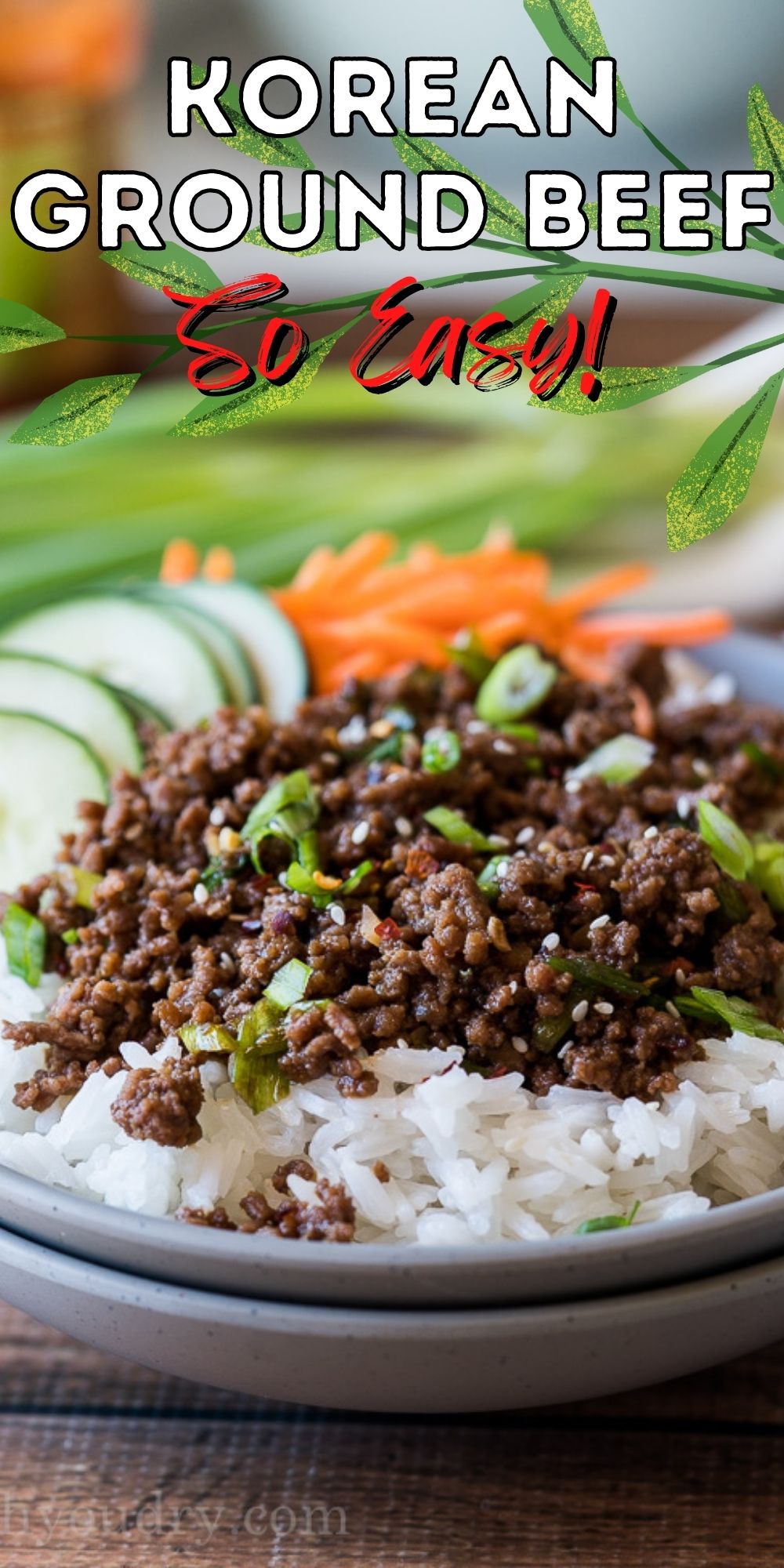 Easy Korean Ground Beef Recipe - I Wash You Dry