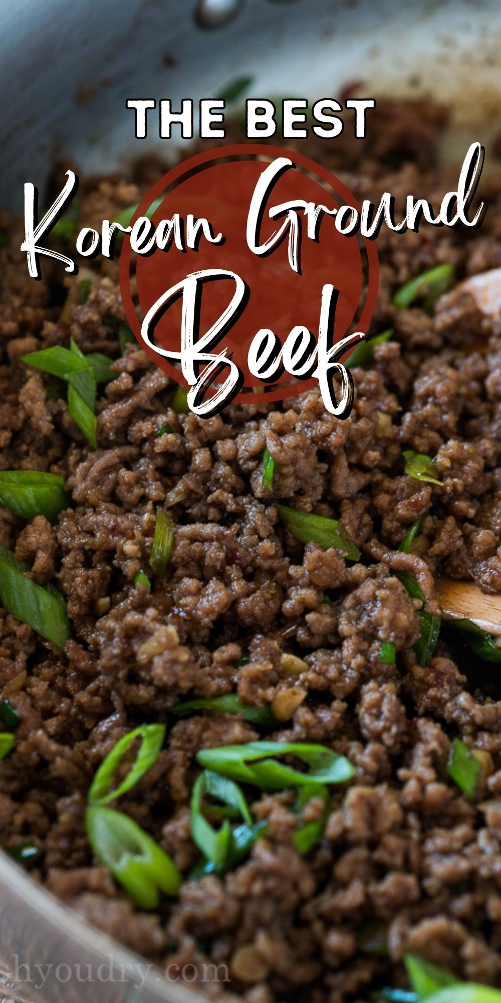 Easy Korean Ground Beef Recipe I Wash You Dry