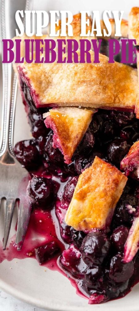 pie with blueberry filling