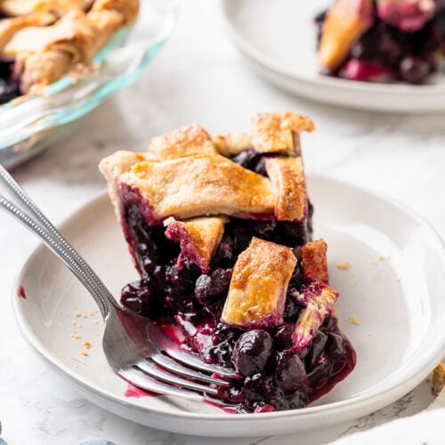 How-To Make a Simple Blueberry Pie with Homemade Filling - The How-To Home