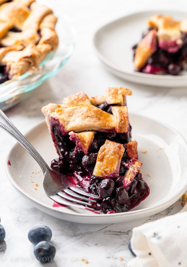 Homemade Blueberry Pie Recipe I Wash You Dry