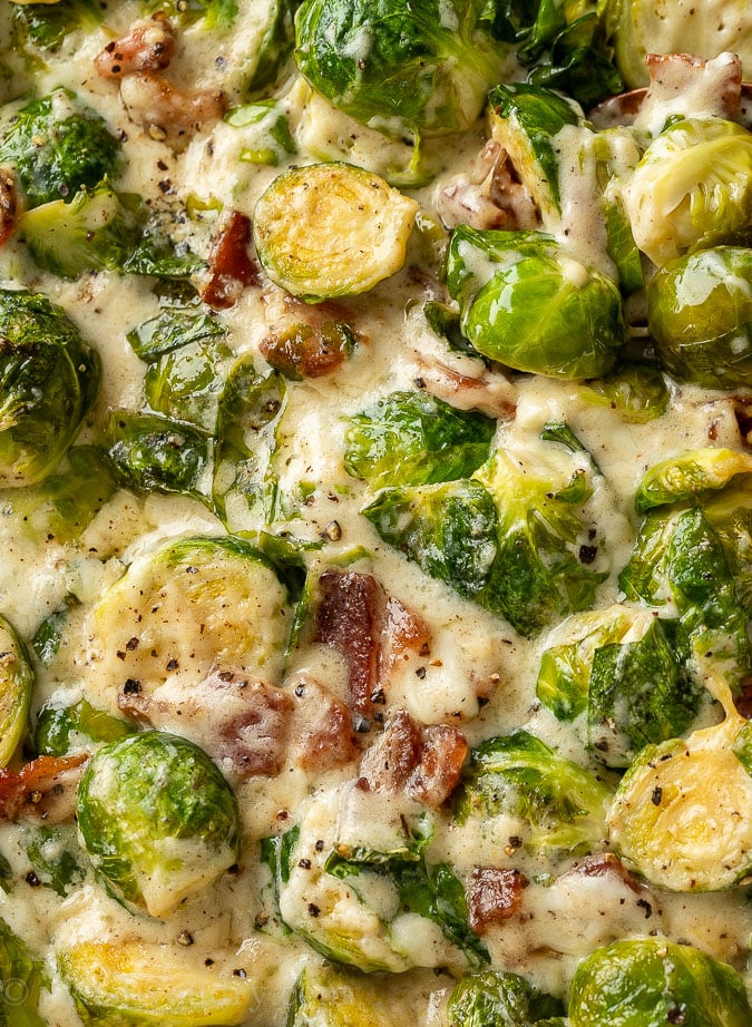 Tender brussels sprouts in alfredo sauce