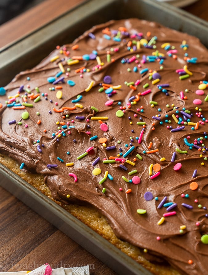 Vanilla cake with chocolate frosting and sprinkles