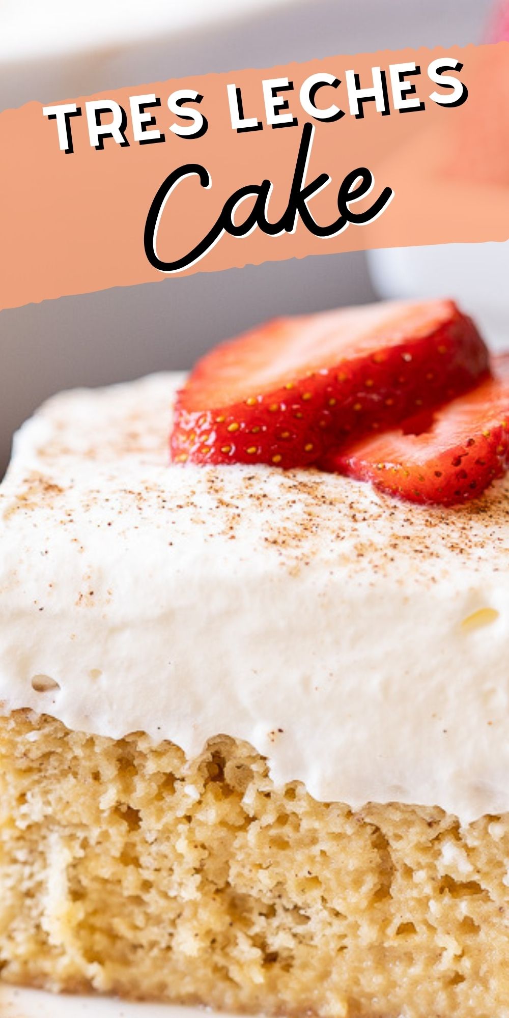 Tres Leches Cake Recipe - I Wash You Dry
