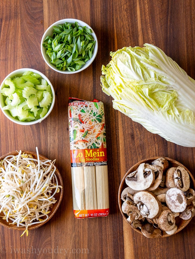 Vegetable Lo mein ingredients with noodles