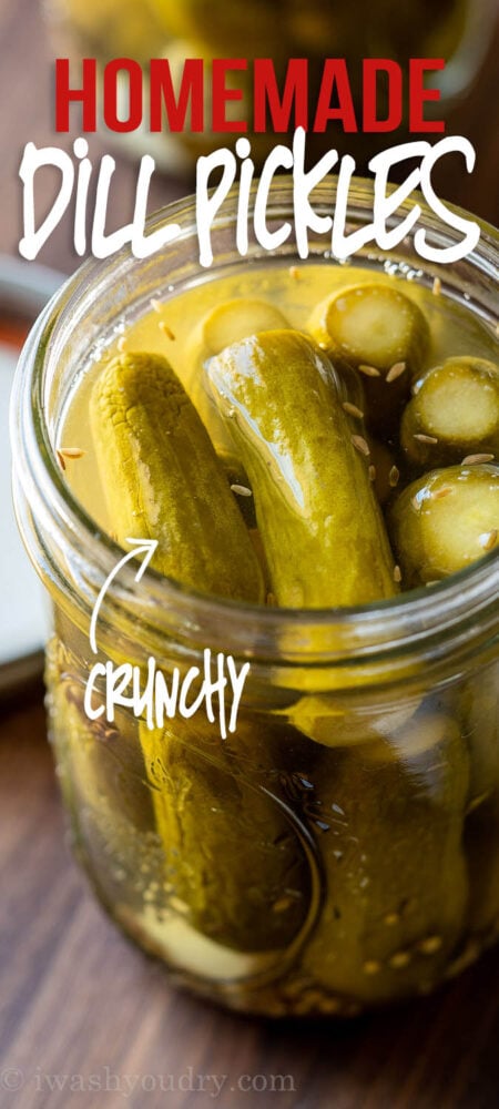 dill pickles in jar crunchy