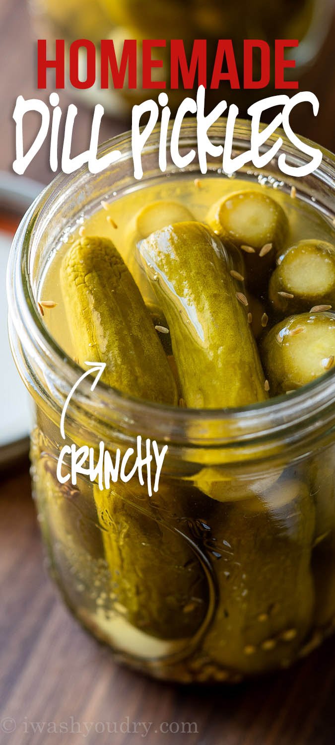 Homemade Canned Dill Pickles I Wash You Dry