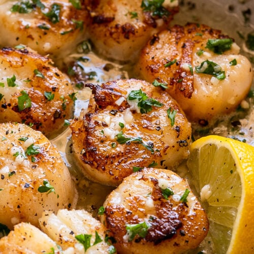 Buttery Garlic Seared Scallops - I Wash You Dry