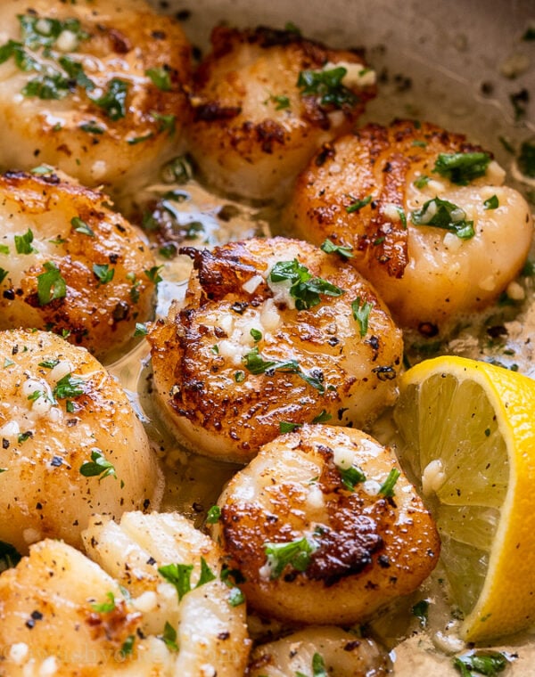 Buttery Garlic Seared Scallops - I Wash You Dry