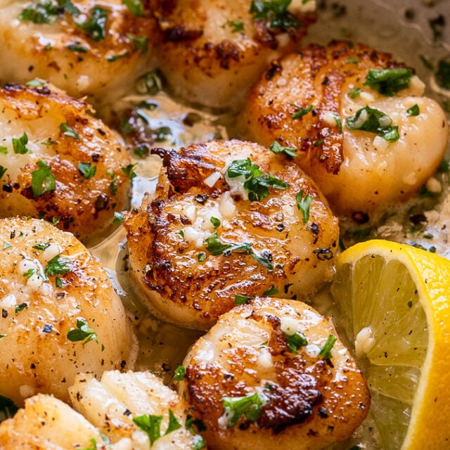 Buttery Garlic Seared Scallops I Wash You Dry