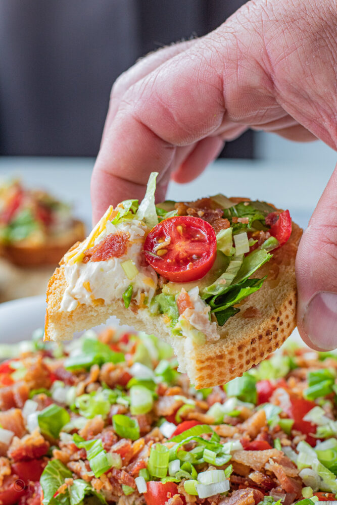 Hand holding bread slice with BLT Dip. 