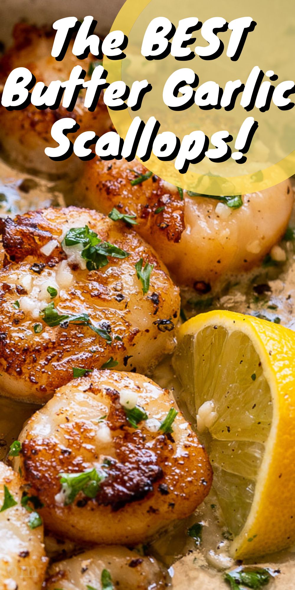 Buttery Garlic Seared Scallops - I Wash You Dry