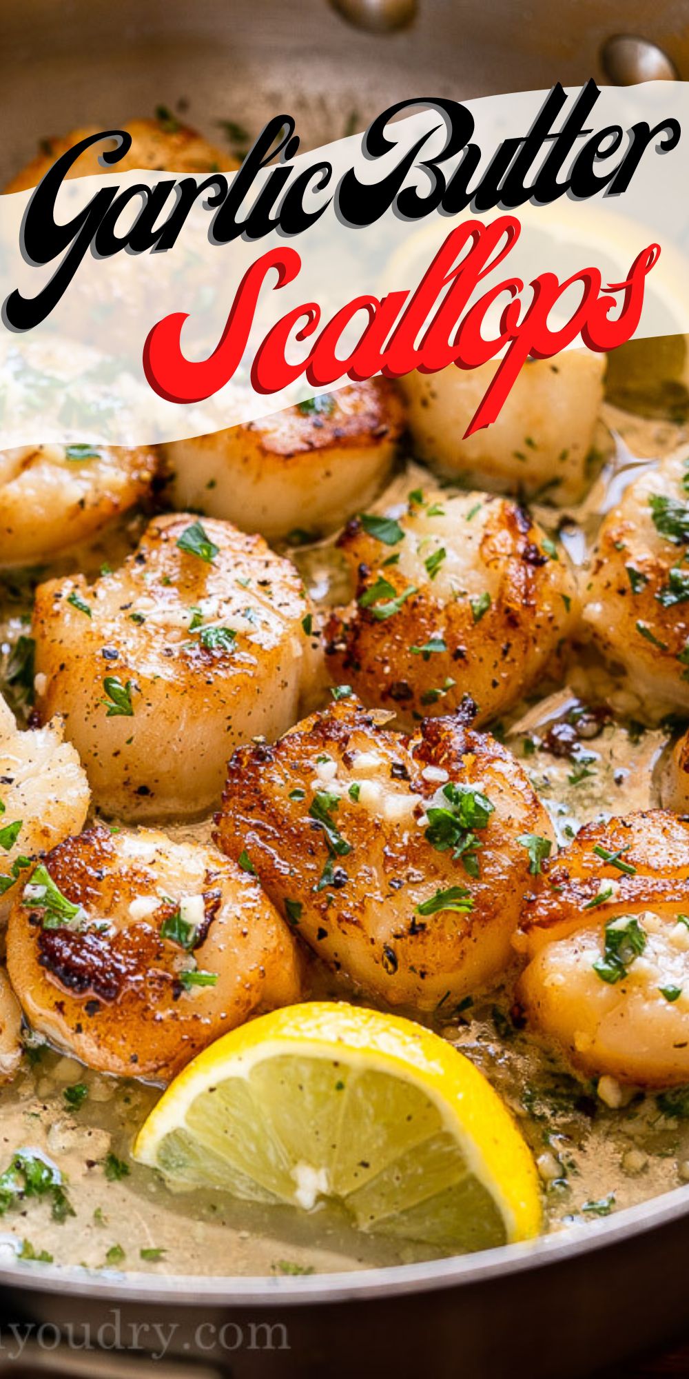 Buttery Garlic Seared Scallops I Wash You Dry