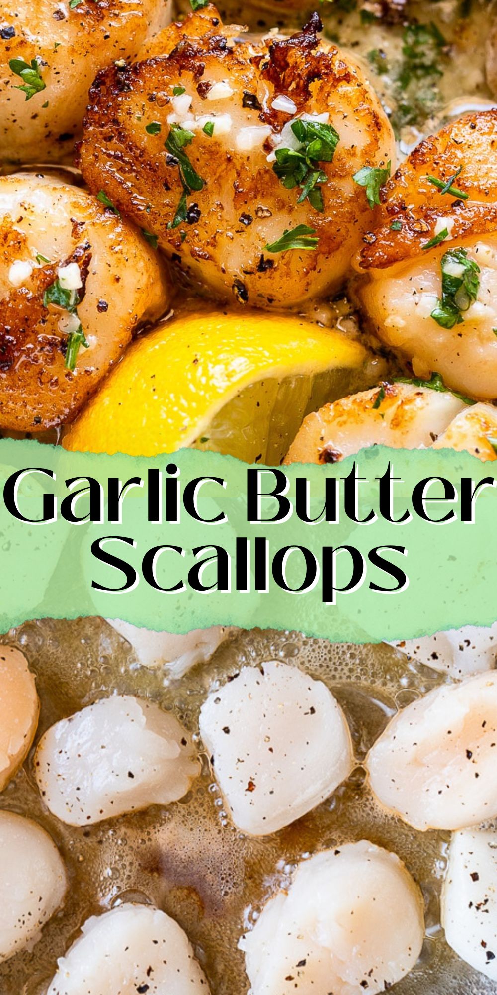 Buttery Garlic Seared Scallops - I Wash You Dry