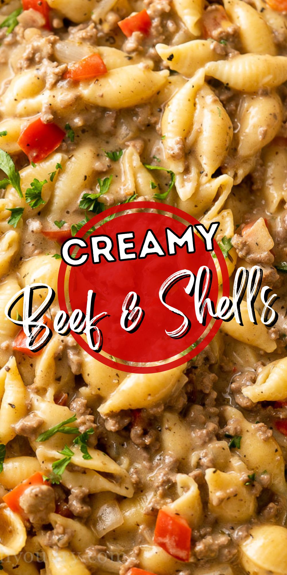 Creamy Beef and Shells - I Wash You Dry