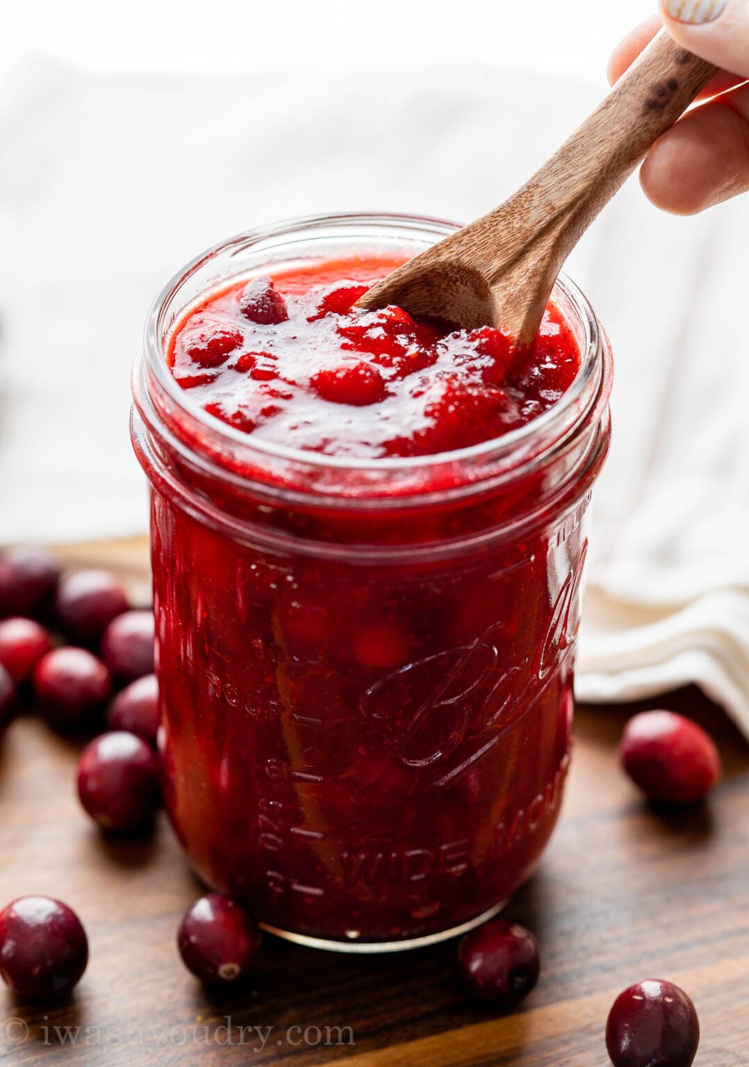 Amazing Cranberry Sauce Recipe - I Wash You Dry