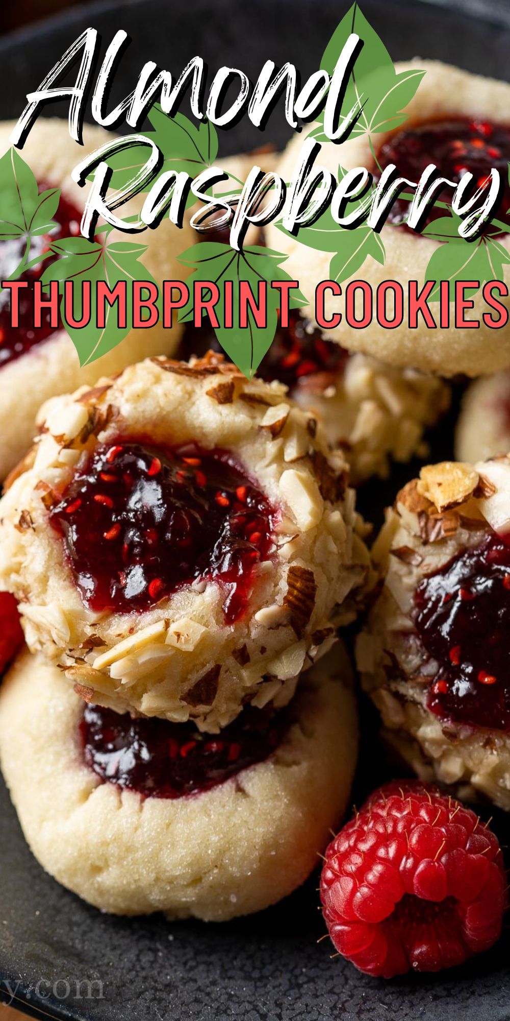 Almond Raspberry Thumbprint Cookies I Wash You Dry