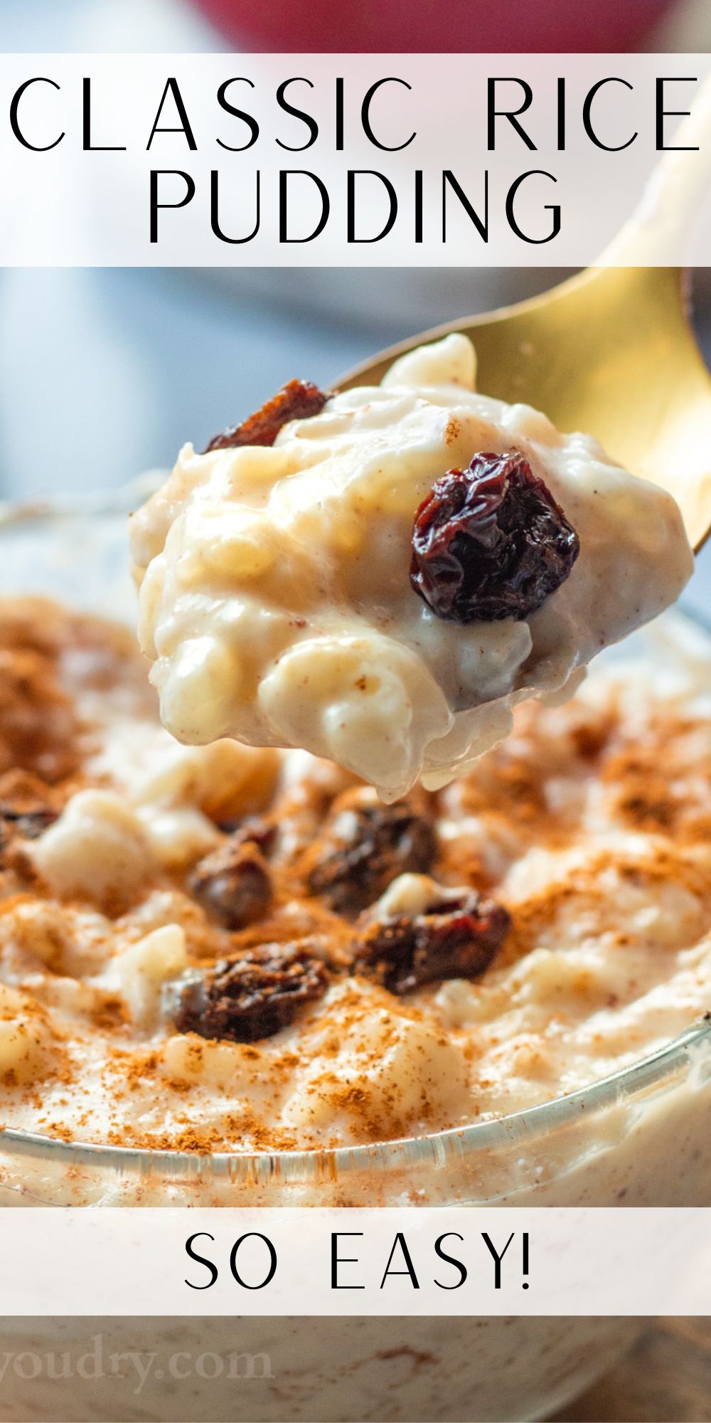 Classic Rice Pudding Recipe - I Wash You Dry