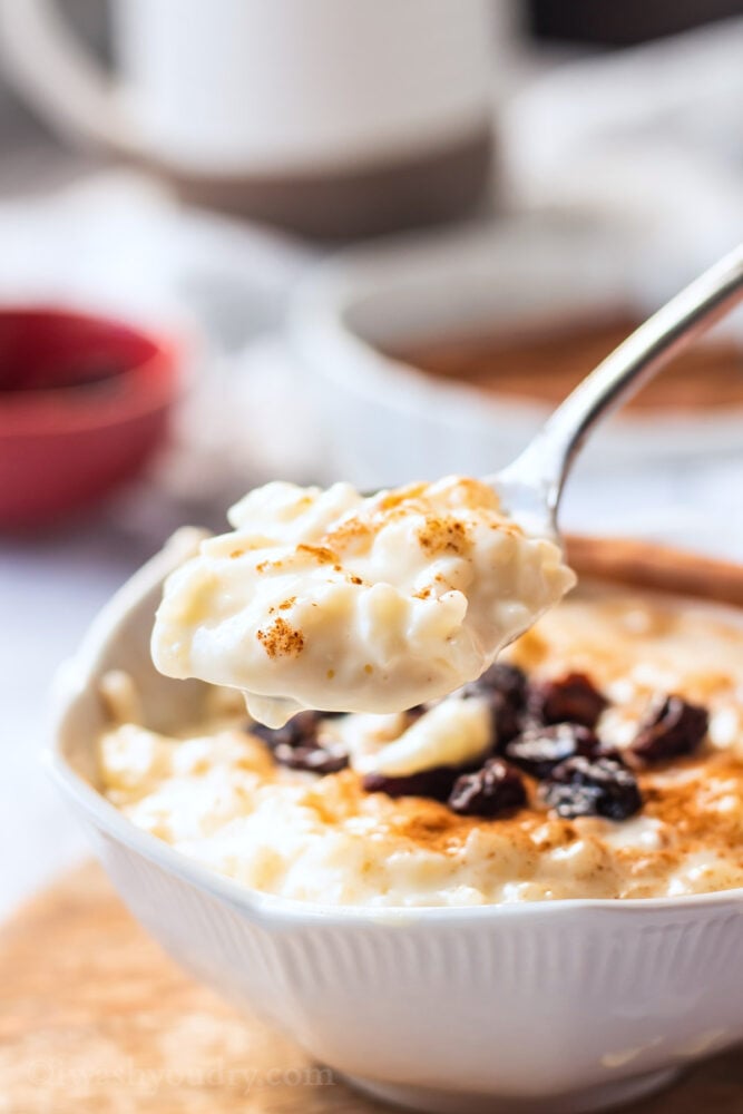 Spoonful of cooked rice pudding over white bowl. 