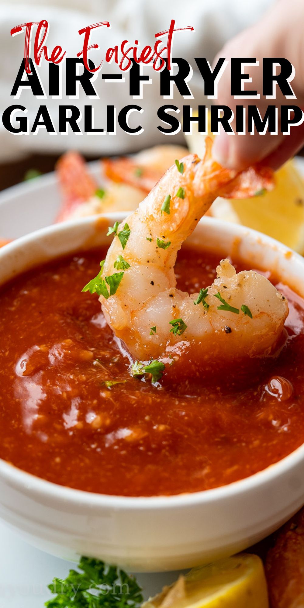 Air Fryer Garlic Shrimp Recipe - I Wash You Dry