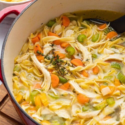 https://iwashyoudry.com/wp-content/uploads/2022/01/Easy-Chicken-Noodle-Soup-cooked-overhead-500x500.jpg
