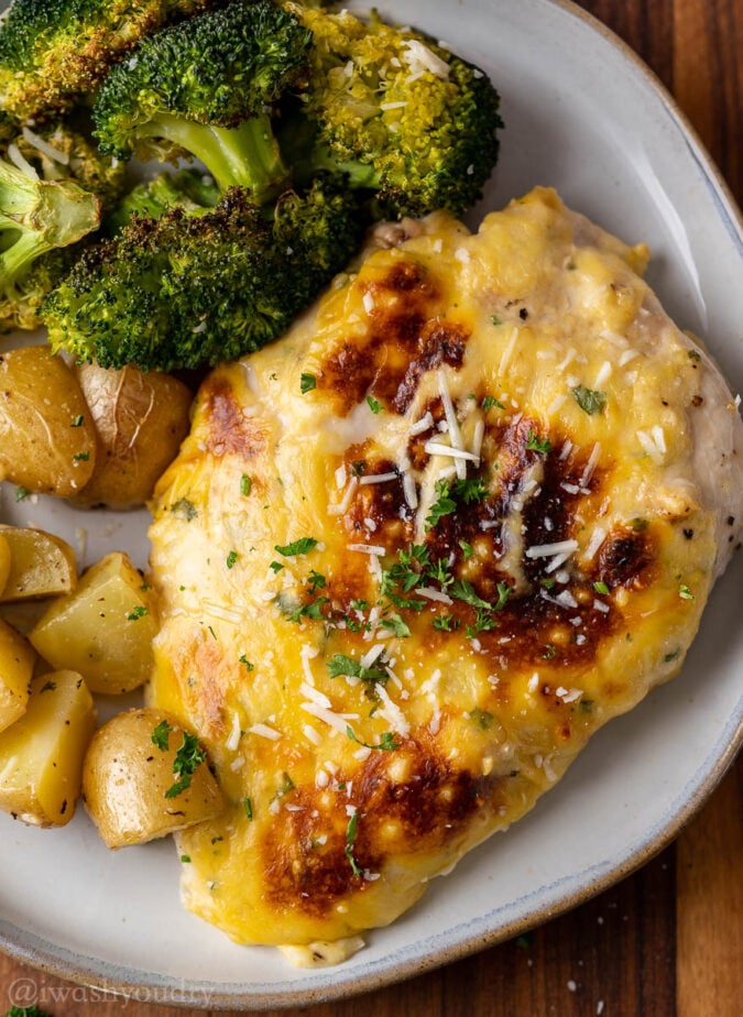 creamy chicken breast on plate with parmesan cheese