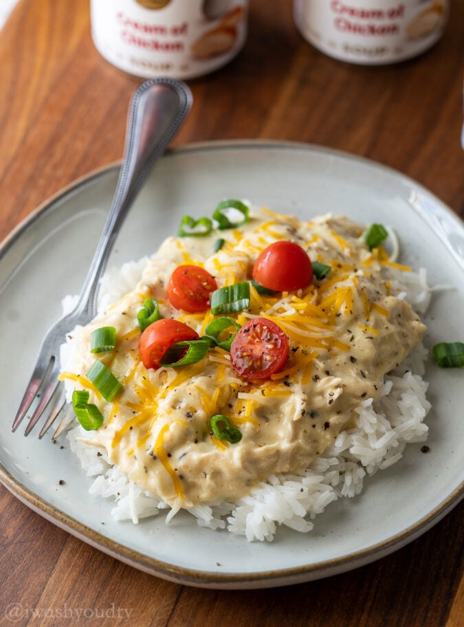 shredded chicken with gravy on white plate with fork.