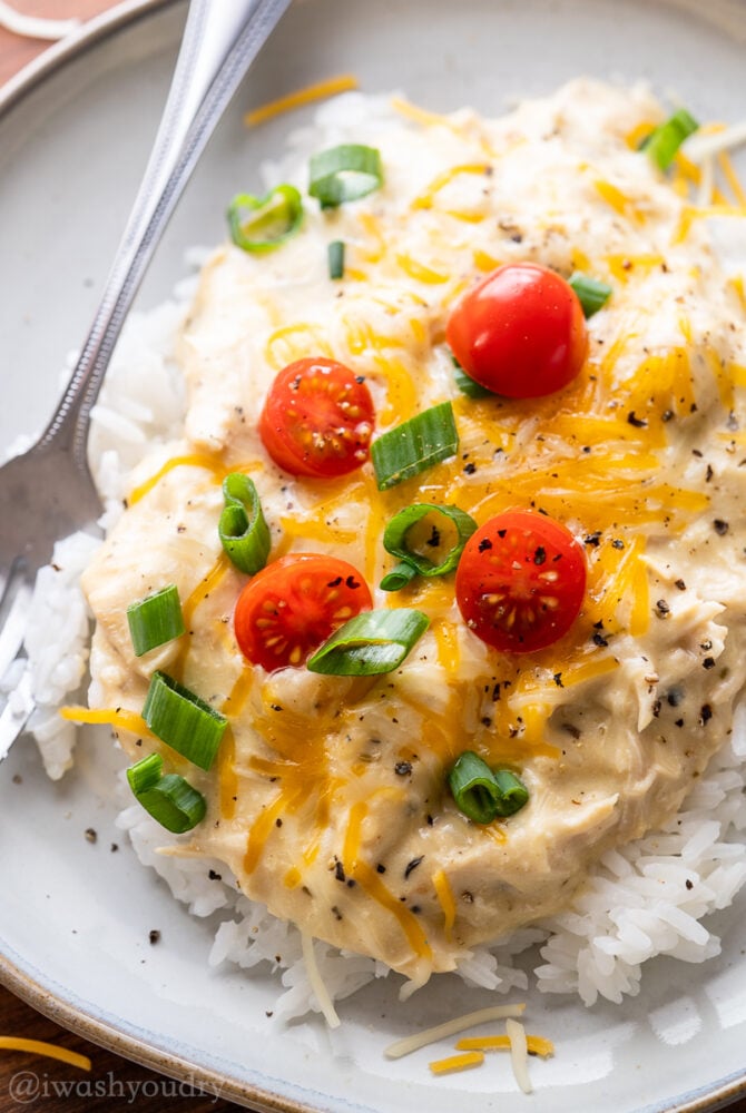 creamy chicken on white plate with tomatoes.