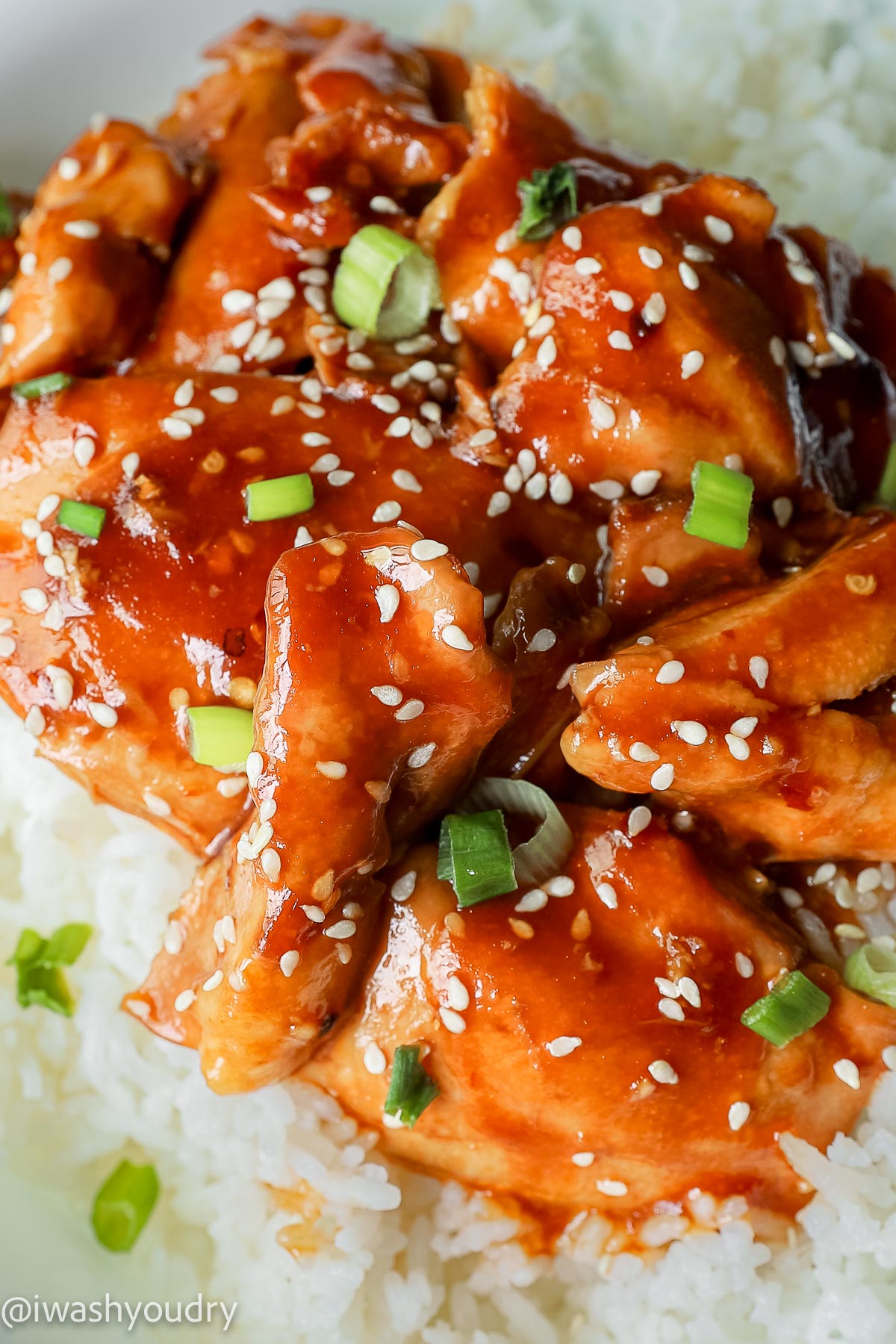 Slow Cooker Honey Garlic Chicken Thighs - I Wash You Dry