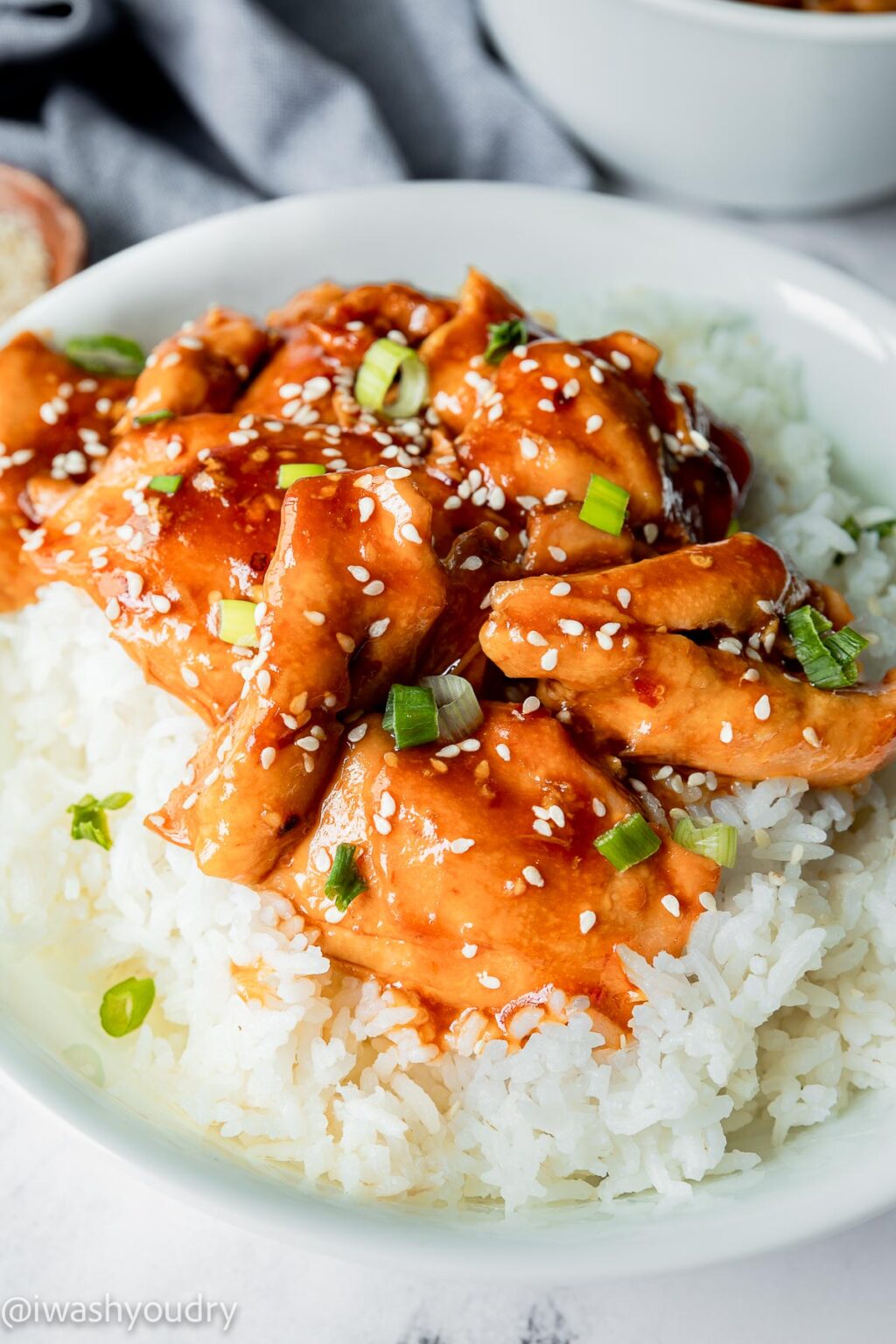 Slow Cooker Honey Garlic Chicken Thighs I Wash You Dry