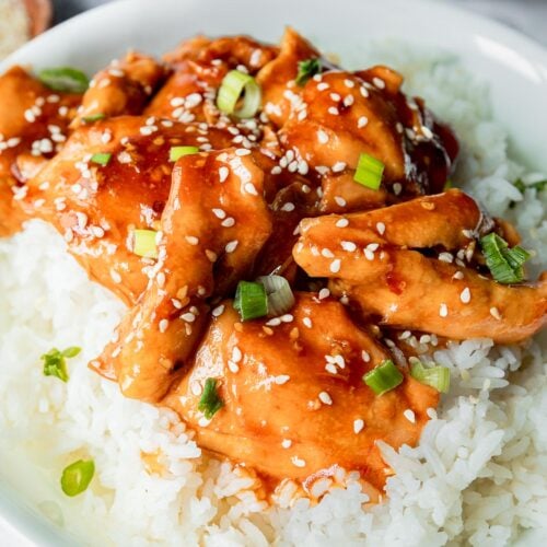 Slow Cooker Honey Garlic Chicken Thighs - I Wash You Dry