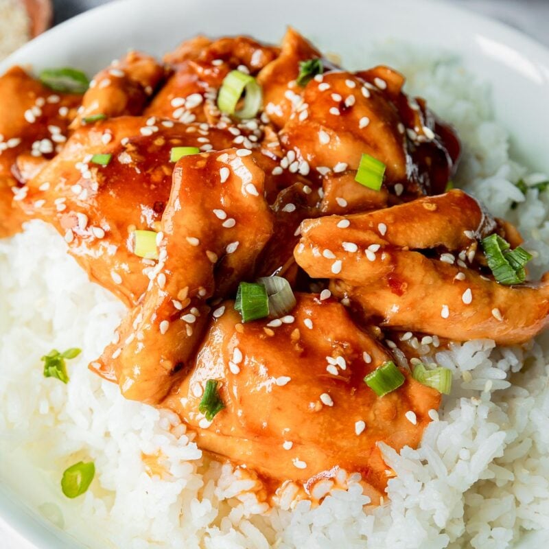 Slow Cooker Honey Garlic Chicken Thighs - I Wash You Dry