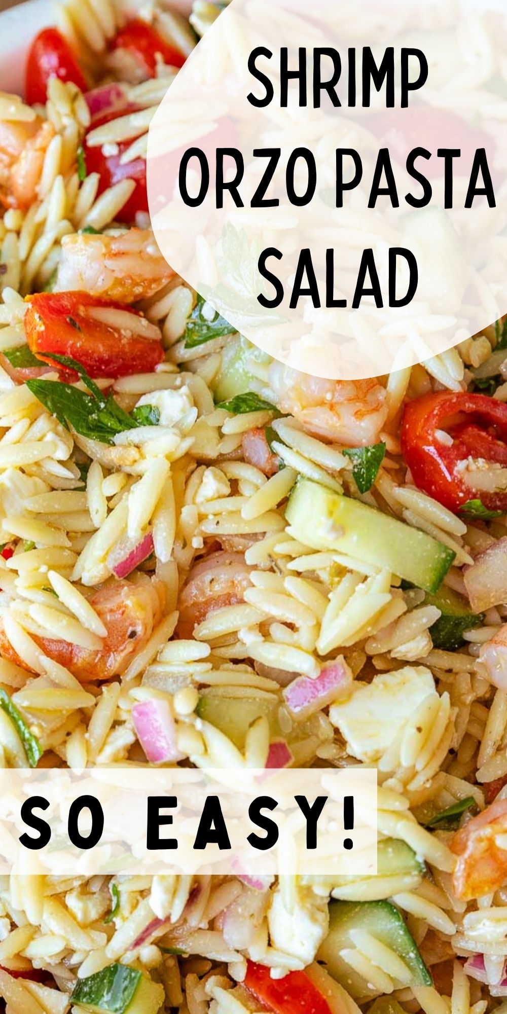 Shrimp Orzo Pasta Salad - I Wash You Dry